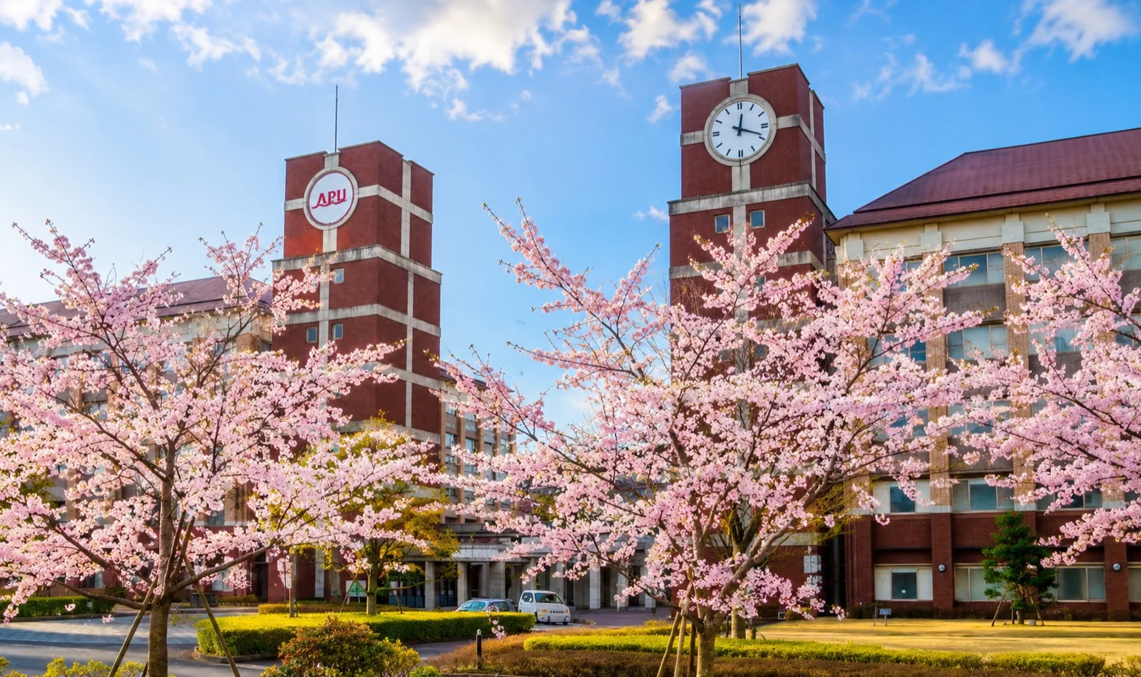 Kampus Ritsumeikan Asia Pacific University w Beppu w otoczeniu kwitnących wiśni.